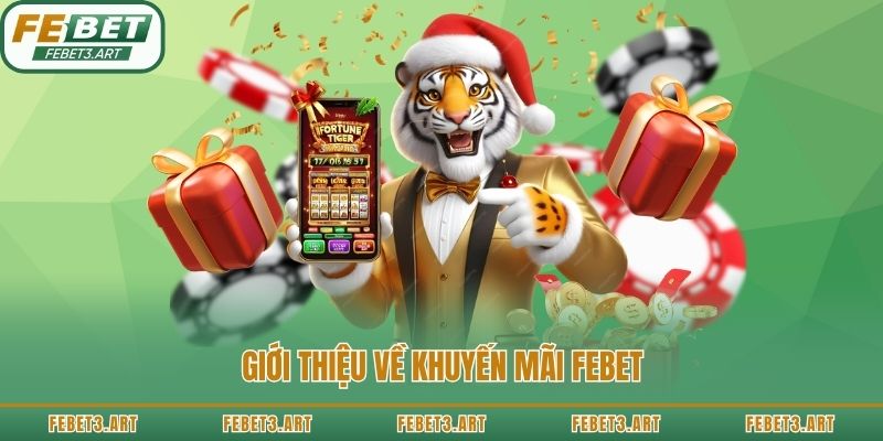 Giới thiệu về khuyến mãi Febet